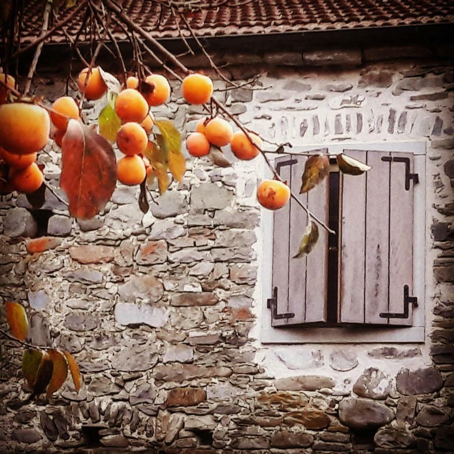 Ai Chiosi Affittacamere Pontremoli Exterior photo